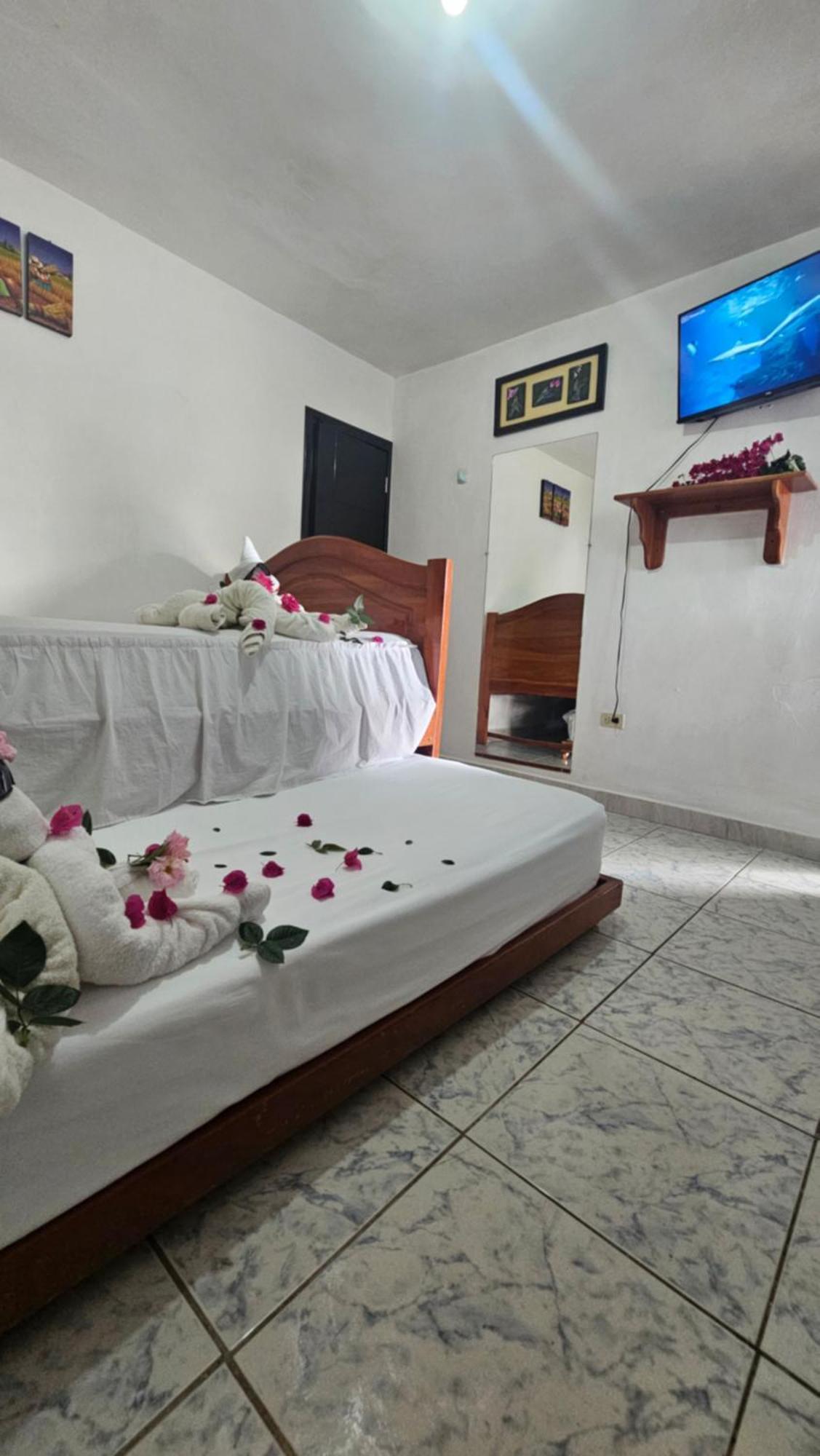 Appartement Flor'S House à San Cristóbal Extérieur photo