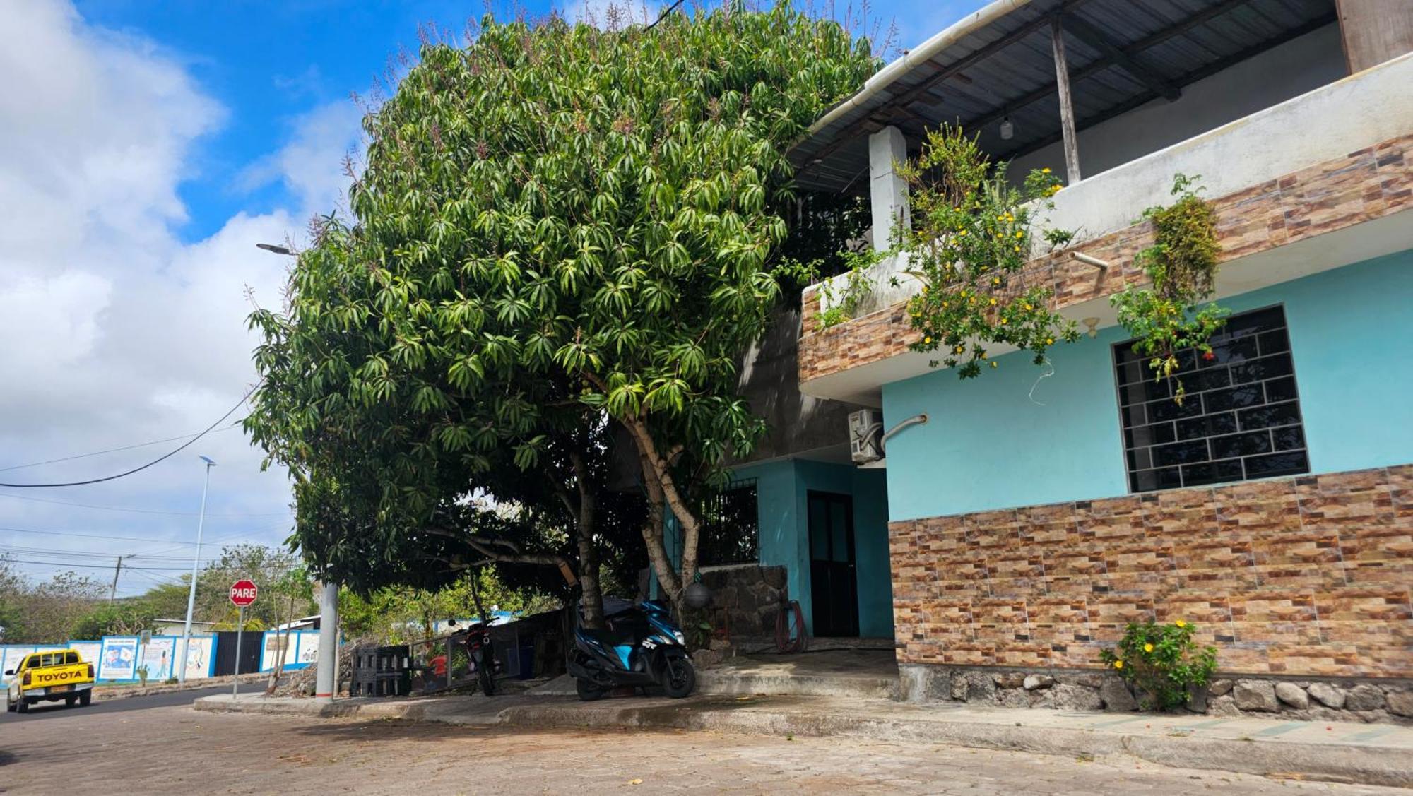 Appartement Flor'S House à San Cristóbal Extérieur photo